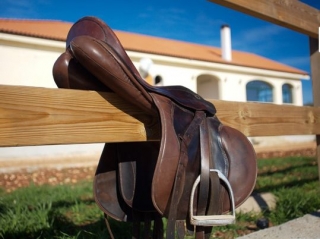 maneggio nel Salento